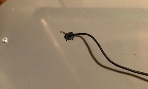 Hot Water Heater Smells Like Sulfur 6 running power cable for anode rod