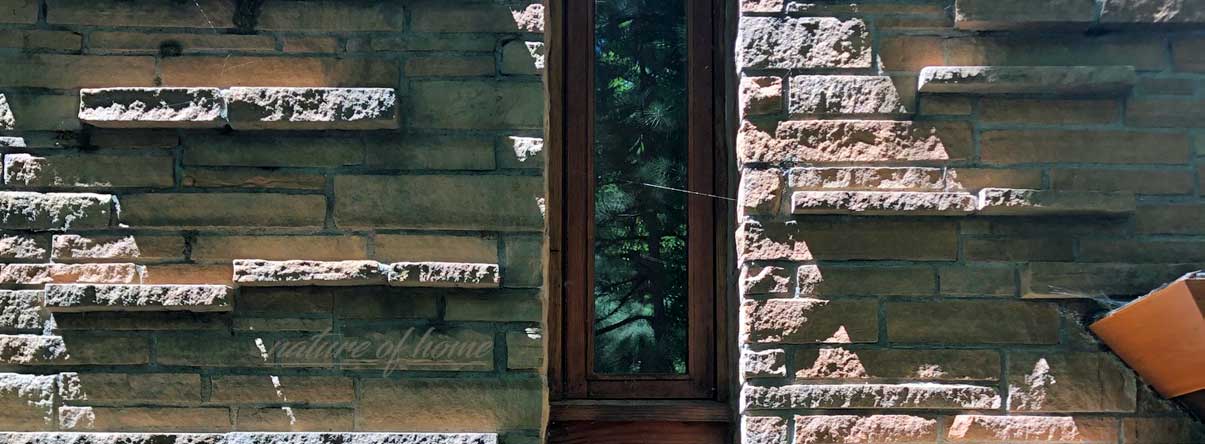 Bring Your Home & Landscape to Life 1 about nature of home