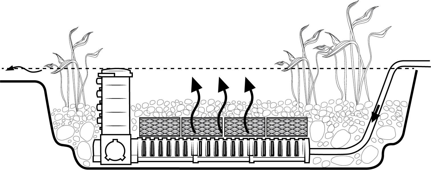 Koi Pond Guide: Ideas & Tips for Building Your Dream Pond 9 Koi Pond Guide: Ideas & Tips for Building Your Dream Pond - Illustration Aquascape Wetlands 2