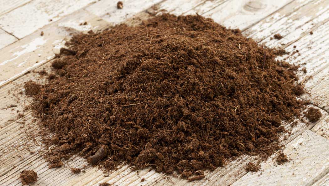 How to Make Soil Acidic 9 Canadian sphagnum peat moss