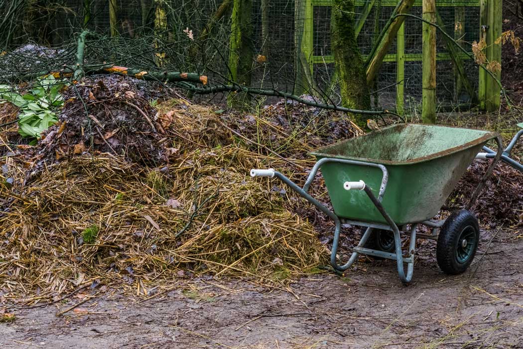 How to Make Soil Acidic 4 adding compost