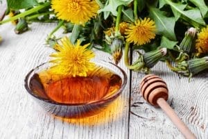 Dandelion Flower: 11 Surprising Uses & Interesting Facts 1 dandelion flower honey
