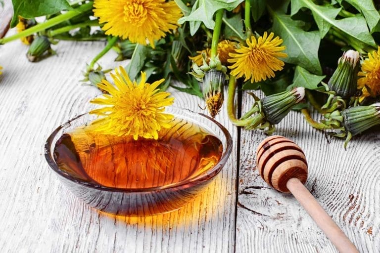 Dandelion Flower: 11 Surprising Uses & Interesting Facts 10 dandelion flower honey
