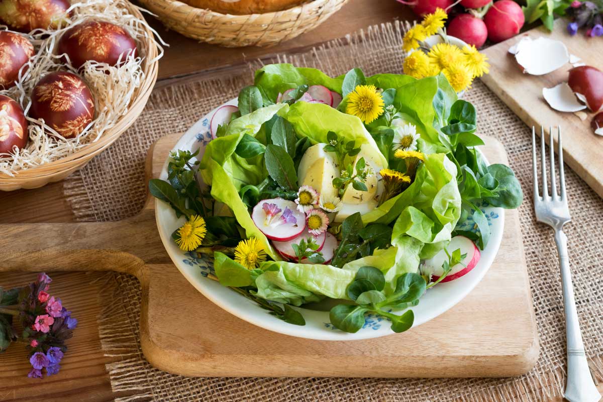 Dandelion Flower: 11 Surprising Uses & Interesting Facts 9 Dandelion in Salad