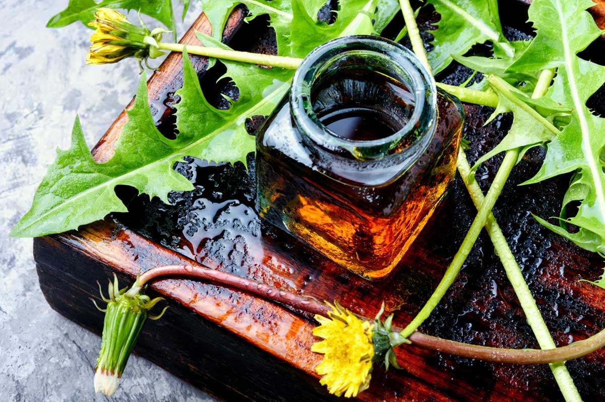 Dandelion Flower: 11 Surprising Uses & Interesting Facts 12 dandelion tincture in a bottle