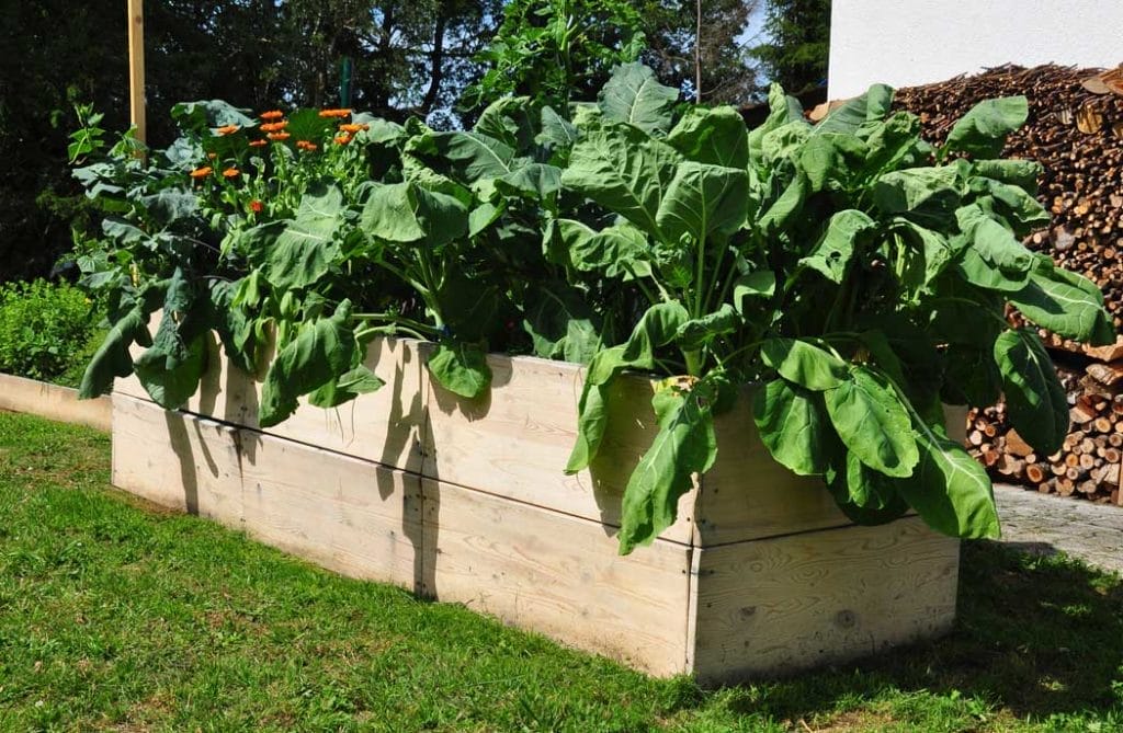 "Amazing" Raised Bed Garden Ideas ~ Easy & Affordable 5 raised bed garden made of wood