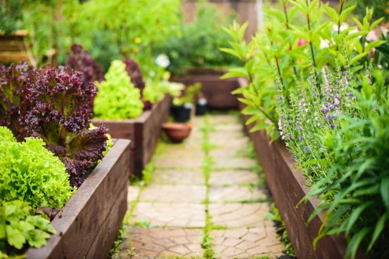 "Amazing" Raised Bed Garden Ideas ~ Easy & Affordable 8 raised bed garden filled with plants