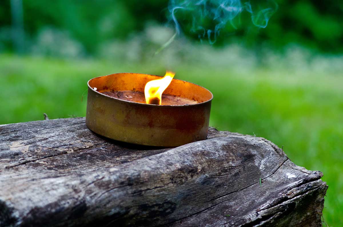Mosquito Repellent: Discover All Options (What Actually Works) 8 candle burning that helps repel mosquitoes