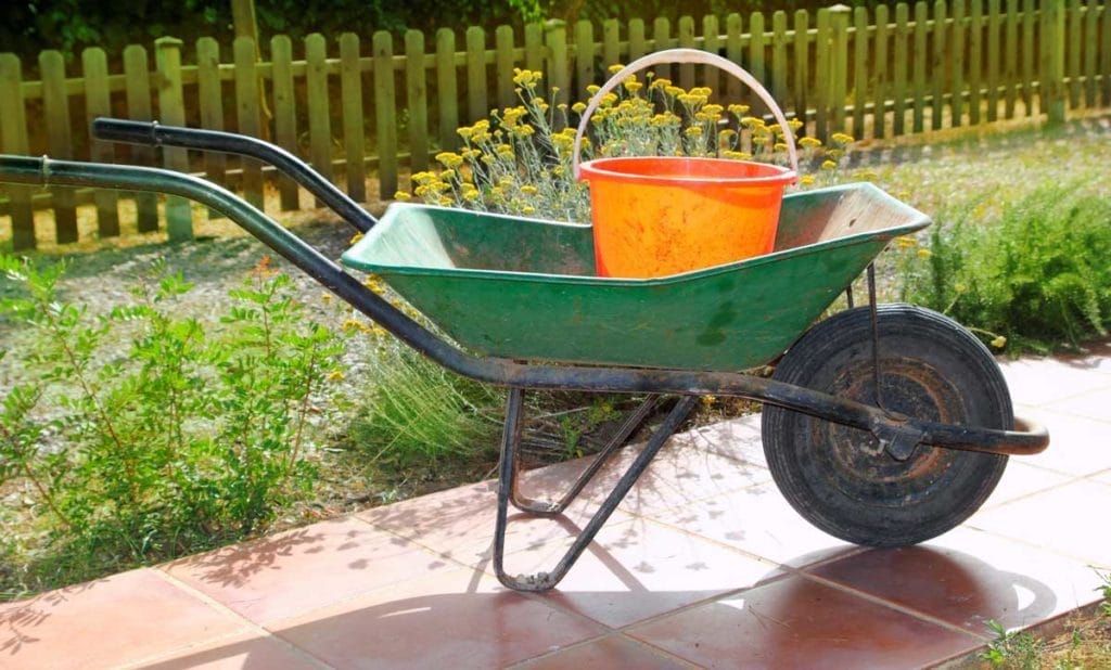 15 Essential Fall Gardening Tools & Resources for a Thriving Autumn Garden 15 15 Essential Fall Gardening Tools & Resources for a Thriving Autumn Garden - 4942522 gardener green wheel barrow with orange pail
