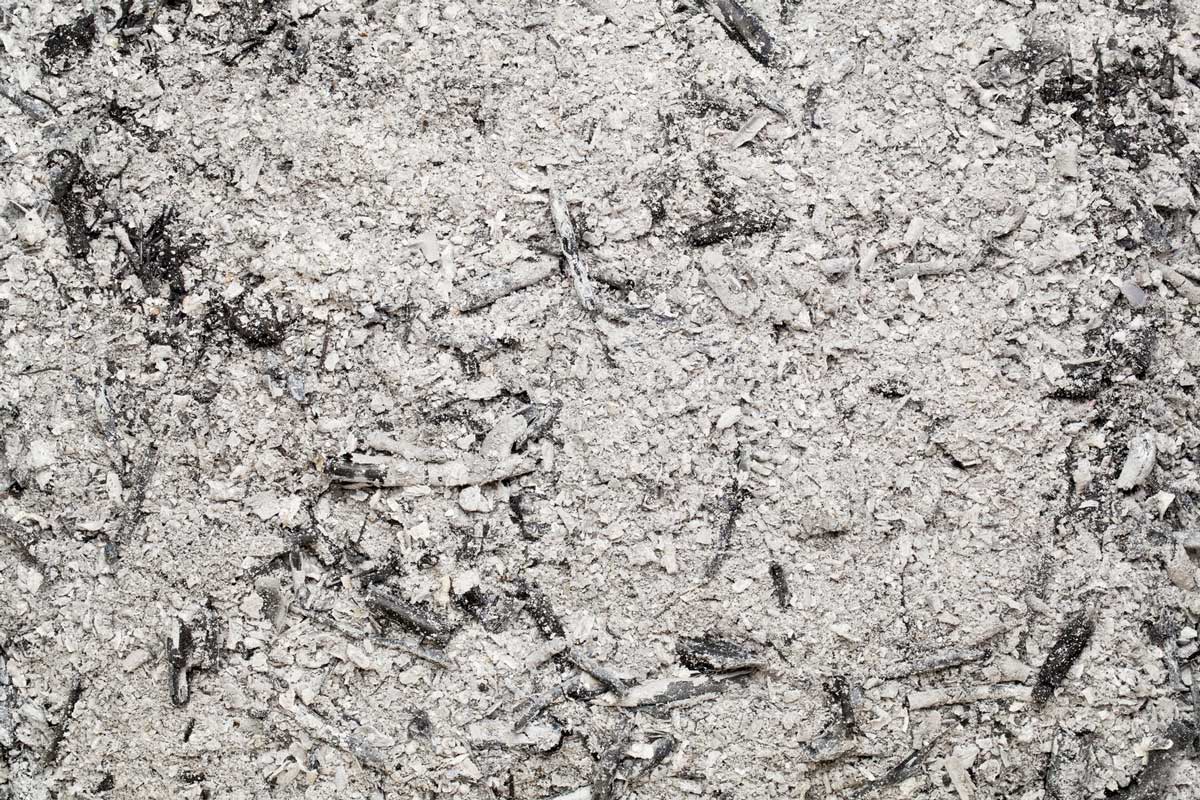 How to Make Soil More Alkaline: 4 Steps 3 wood ash to make soil more alkaline