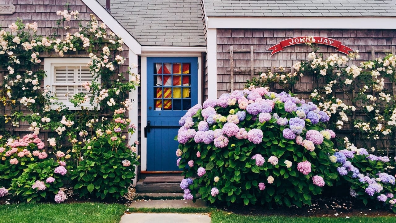 When & How to Fertilize Hydrangeas for the Best Blooms 3 When & How to Fertilize Hydrangeas for the Best Blooms - Hydrangea cottage ss2494161505 degm