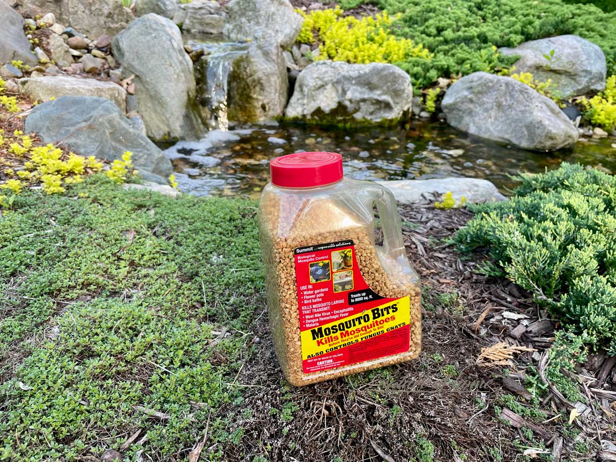 Mosquito Repellent: Discover All Options (What Actually Works) 7 Mosquito Repellent: Discover All Options (What Actually Works) - mosquito bits in water feature