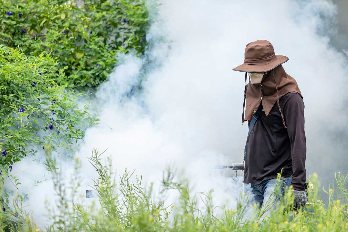 Mosquito Repellent: Discover All Options (What Actually Works) 6 using mosquito repellent fogger for yard