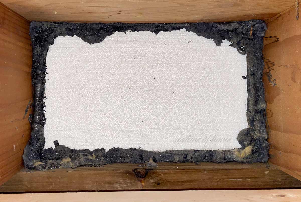 Rim Joist: Purpose, Insulation & Common Mistakes 5 rim joist with interior EPS foam insulation