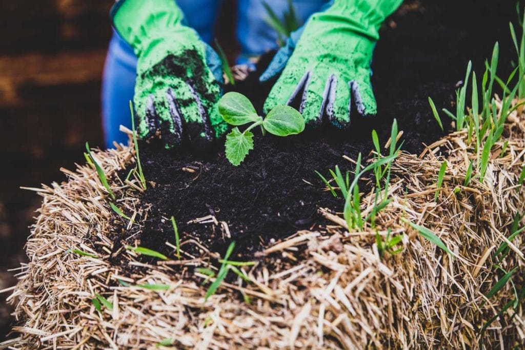 Turn Your Yard into a Thriving Oasis with These 15 Vegetable Garden Ideas 11 Turn Your Yard into a Thriving Oasis with These 15 Vegetable Garden Ideas - straw bale vegetable garden 2120138642