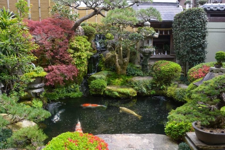 Koi Pond Guide: Ideas & Tips for Building Your Dream Pond 7 japanese koi pond with plants