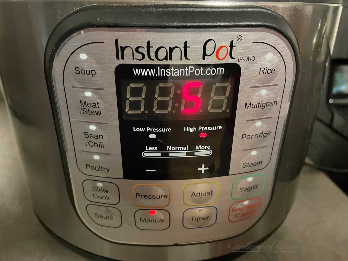 This $8 Fix Saved My Instant Pot From the Trash (Sealing Ring Replacement) 2 This $8 Fix Saved My Instant Pot From the Trash (Sealing Ring Replacement) - setting timer on instant pot