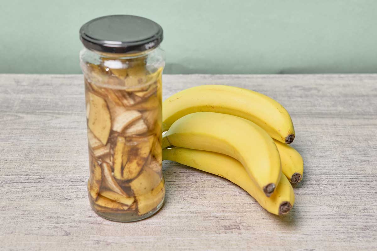 What Happens to Your Body When You Drink Banana Tea at Night 4 banana peel tea for natural fertilizer