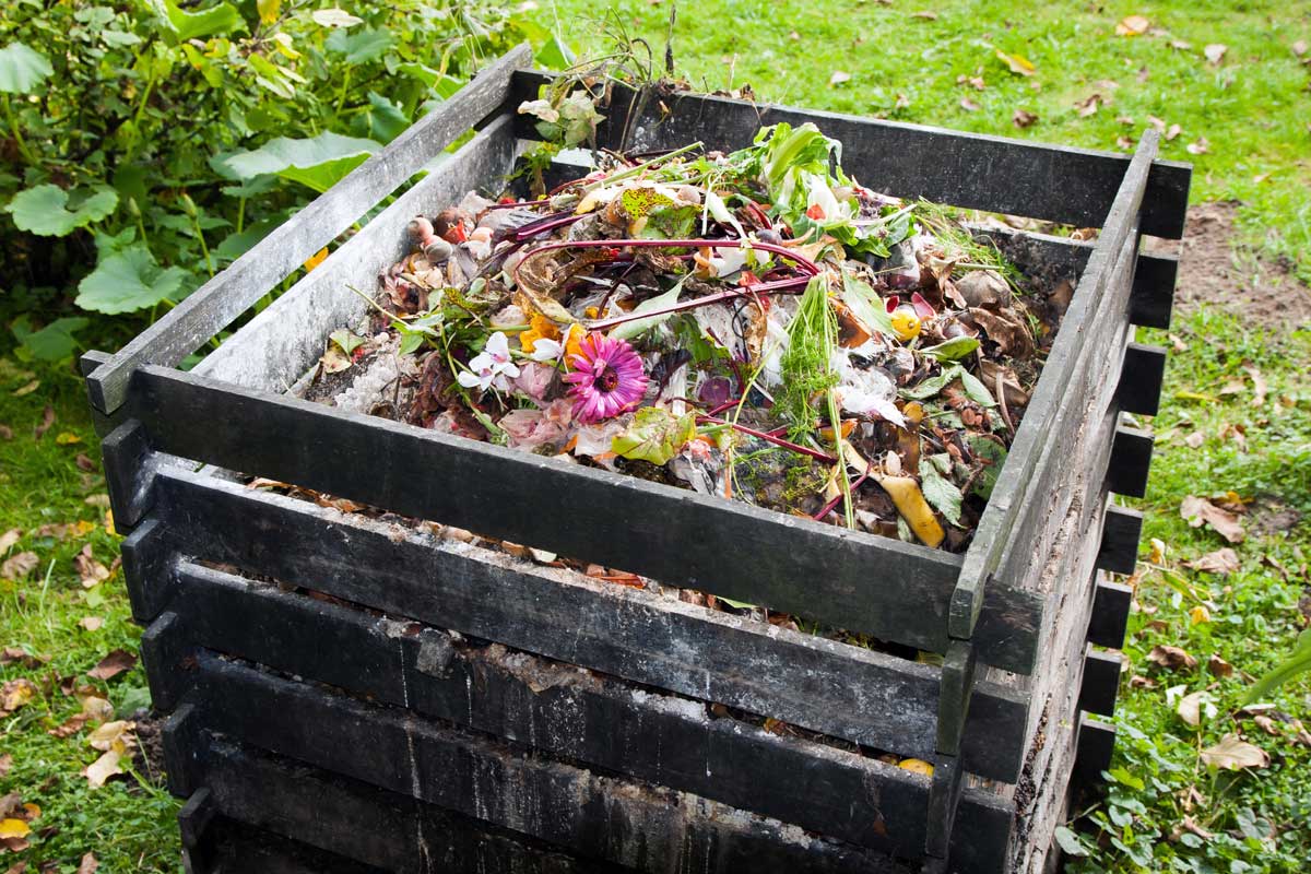Burning Leaves: Experts Warn Against & Offer Suggestions 2 composting bin