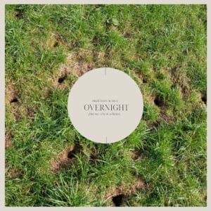 Small Holes in Lawn Overnight? (Here's Why + Solution) 1 small holes in lawn overnight by chipmunks