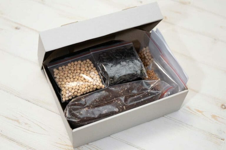 What Do You Need to Grow Microgreens? (11 Essential Items) 5 materials for growing microgreens