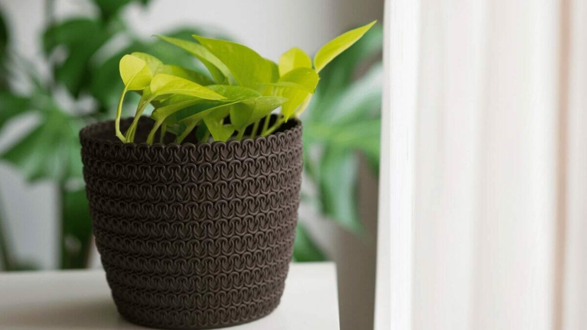 Neon Pothos Care & Propagation Guide: From Dull to Dazzling 5 neon pothos plant in a brown pot