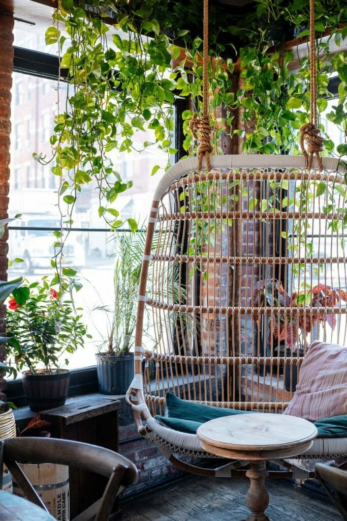 20 Pothos Decoration Ideas + 9 Home Decor Tips (Stunning) 9 20 Pothos Decoration Ideas + 9 Home Decor Tips (Stunning) - pothos balcony garden retreat pexels mister mister 3636962
