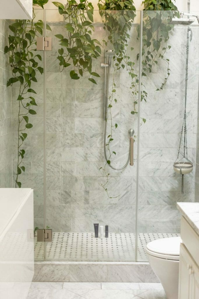 Hawaiian Pothos vs Golden Pothos: A Plant Pro Explains The Differences 6 pothos in bathroom