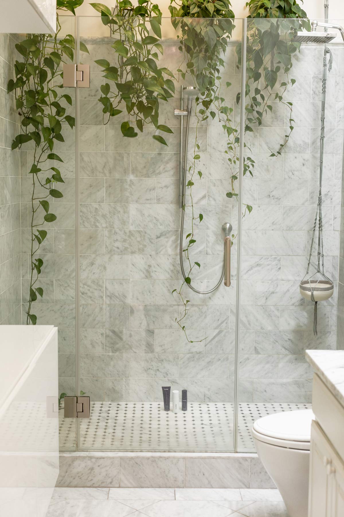 20 Pothos Decoration Ideas + 9 Home Decor Tips (Stunning) 6 pothos in bathroom shower
