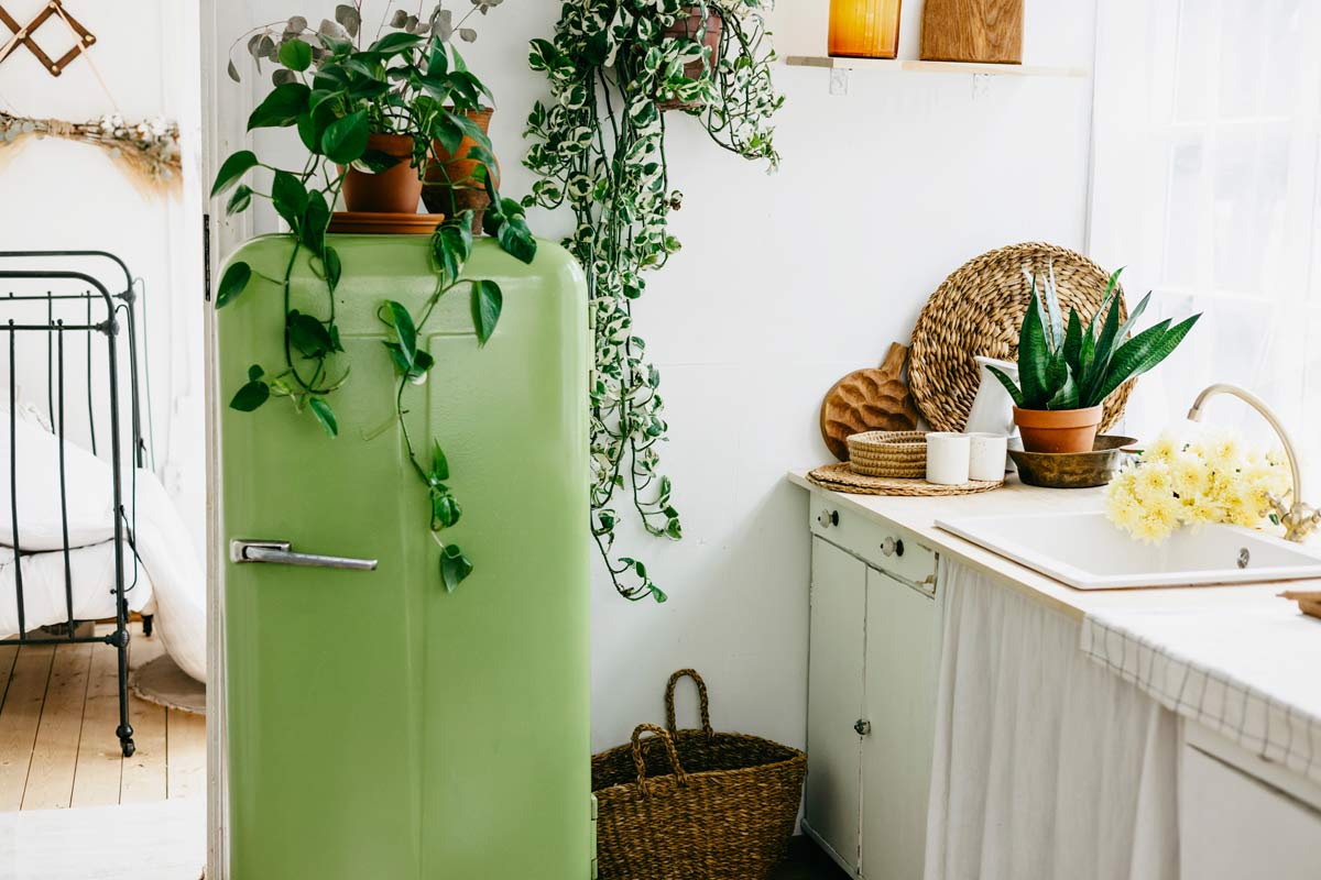 20 Pothos Decoration Ideas + 9 Home Decor Tips (Stunning) 8 pothos retro kitchen idea