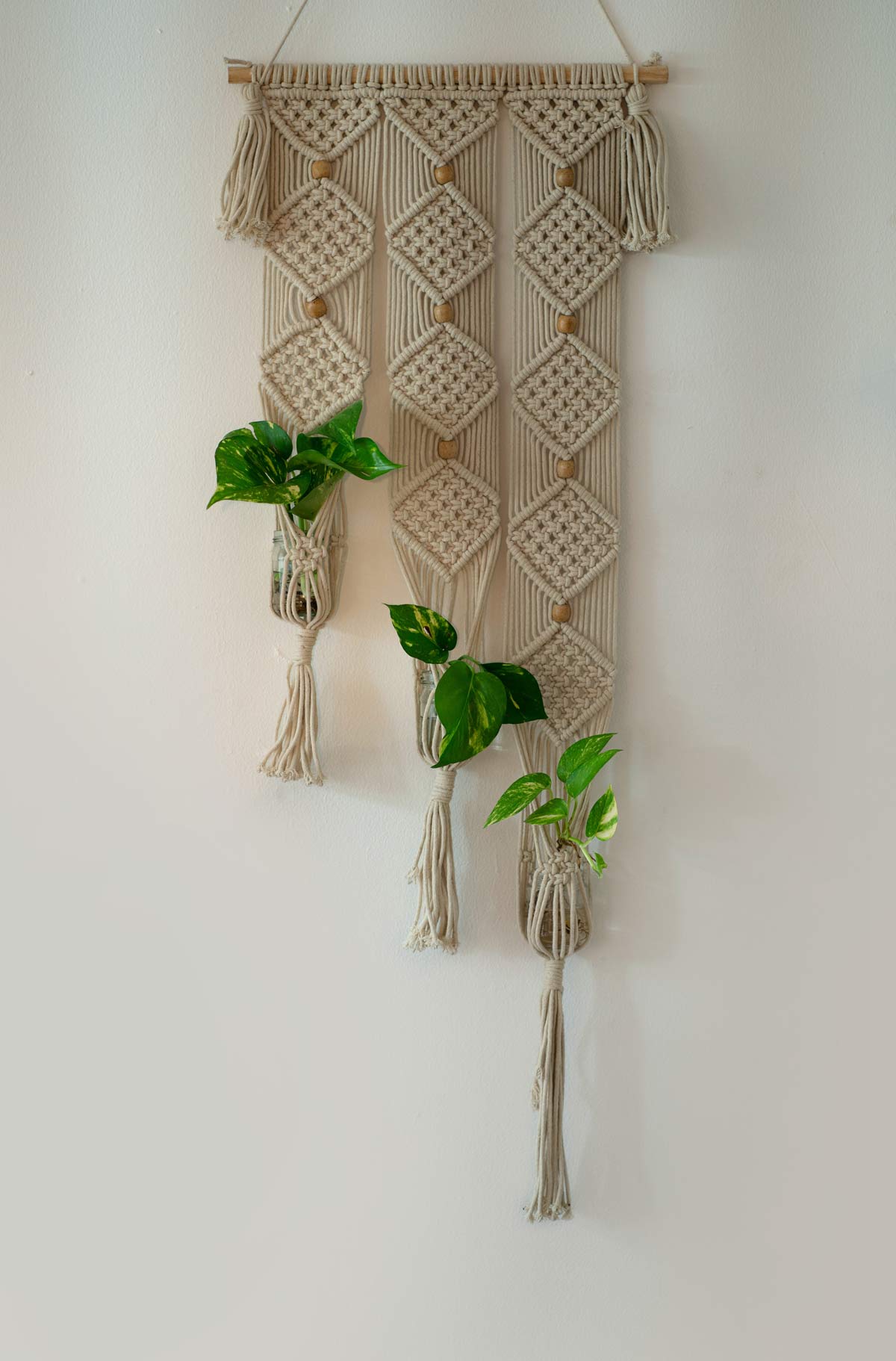 20 Pothos Decoration Ideas + 9 Home Decor Tips (Stunning) 12 pothos Macrame Propagation Station