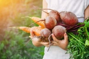 Beets Companion Plants: Top 4 Best Plants + 3 to Avoid 1 harvest of beets companion plants with carrots