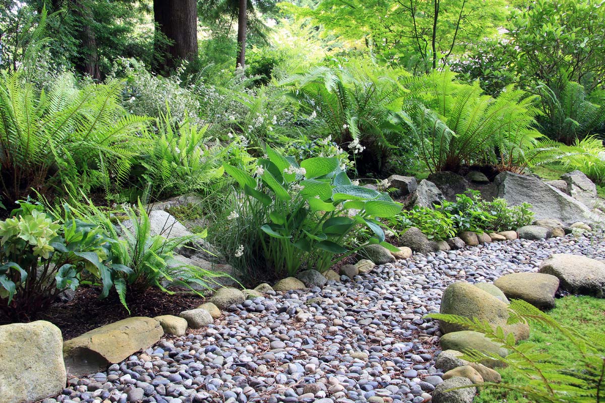 Say Goodbye to Garden Chores with These 20 Maintenance-Free Front Yard Ideas 12 Say Goodbye to Garden Chores with These 20 Maintenance-Free Front Yard Ideas - ferns in a garden path dp 74266257 XL
