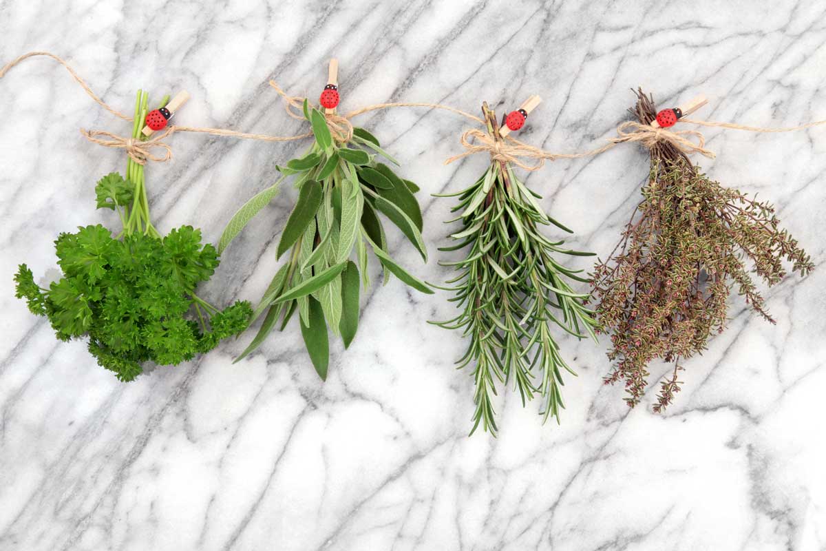 4 Best Herbs to Grow in the Kitchen + Storing & Drying 8 herbs drying in kitchen.