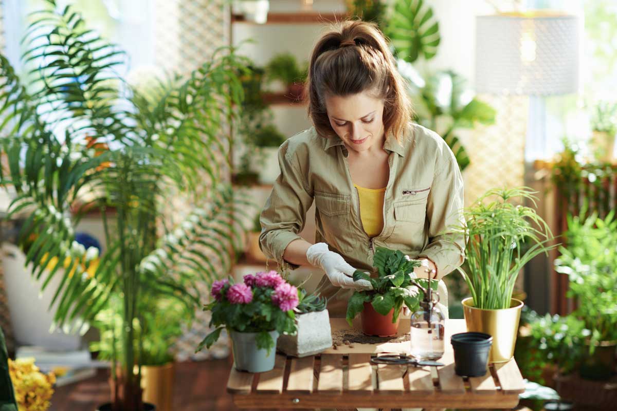 Revitalize Your Indoor Plants Instantly with This Easy Cornstarch Trick 9 woman making potting soil