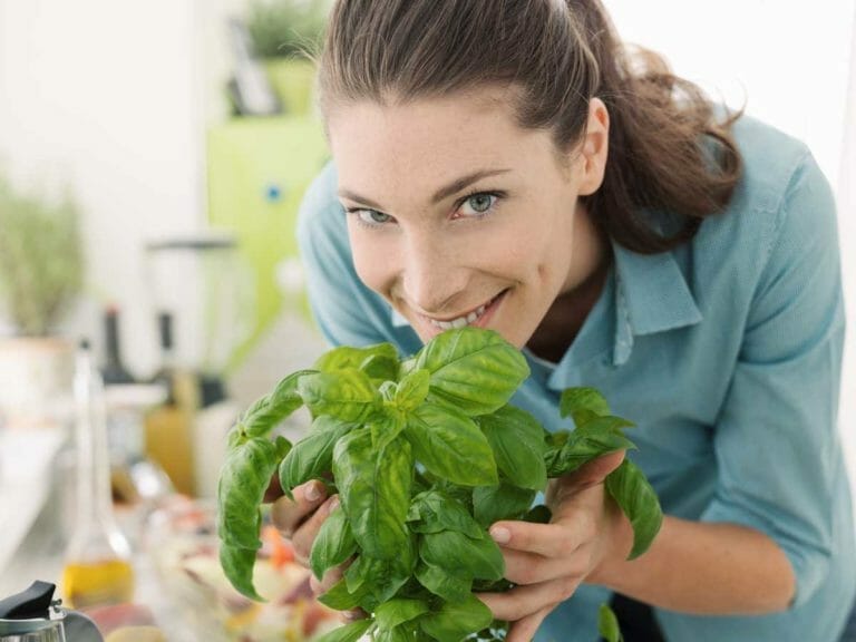 4 Best Herbs to Grow in the Kitchen + Storing & Drying 2 woman with herbs grown in the kitchen.