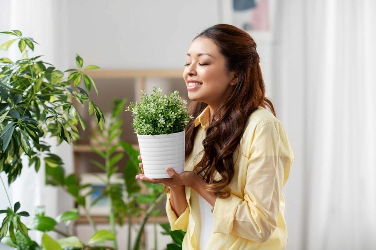 12 Houseplant Myths BUSTED: Don't Make These Rookie Mistakes 5 air purifying indoor houseplants, woman smelling.