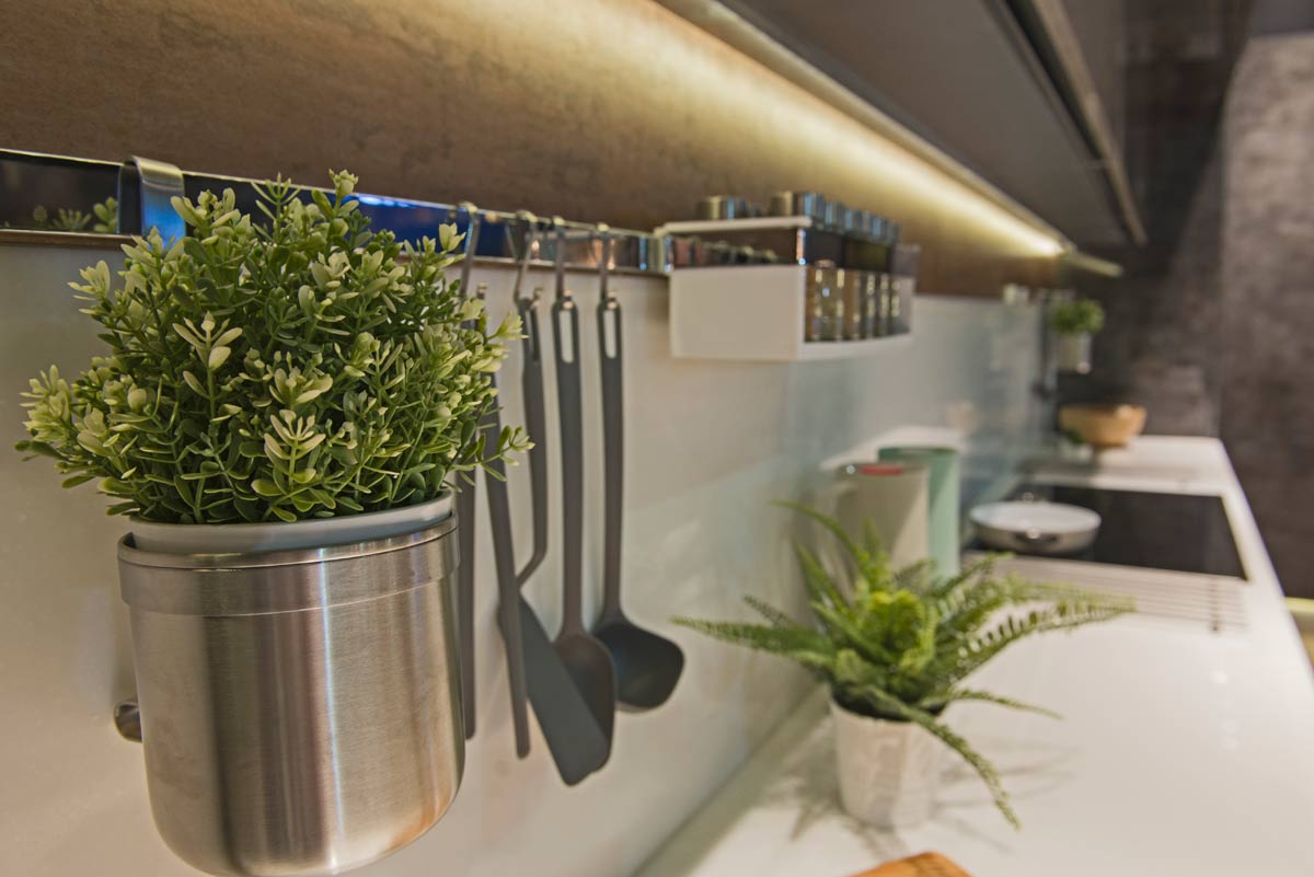 Defying Nature: How To Grow Plants In Rooms Without Windows 2 herb plant growing in a windowless kitchen room with a grow light