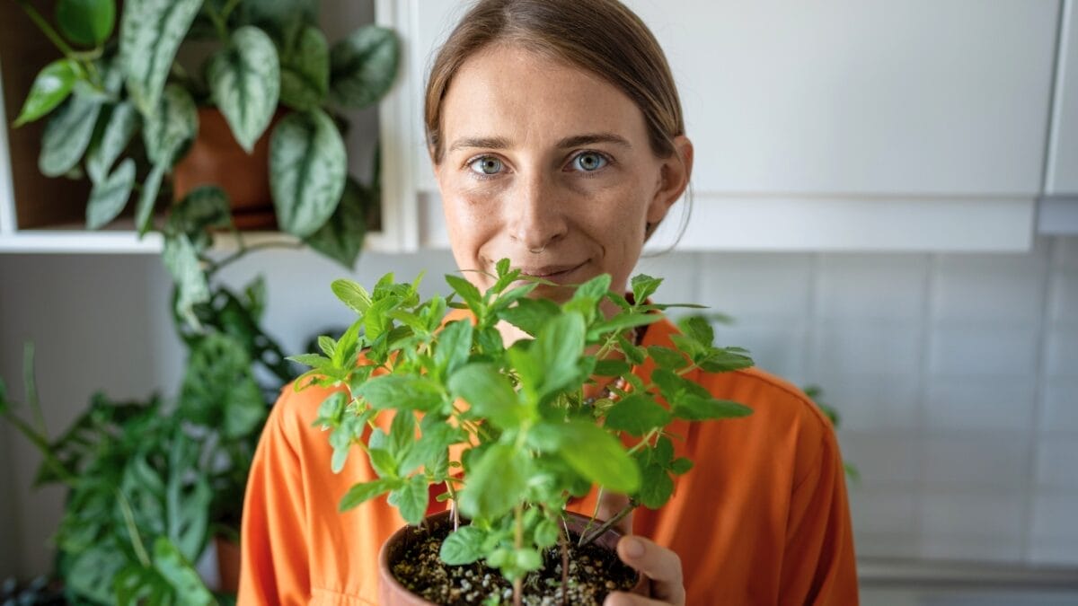 12 Plants That Naturally Repel Fleas: What to Know & Grow - houseplant ss2438839635