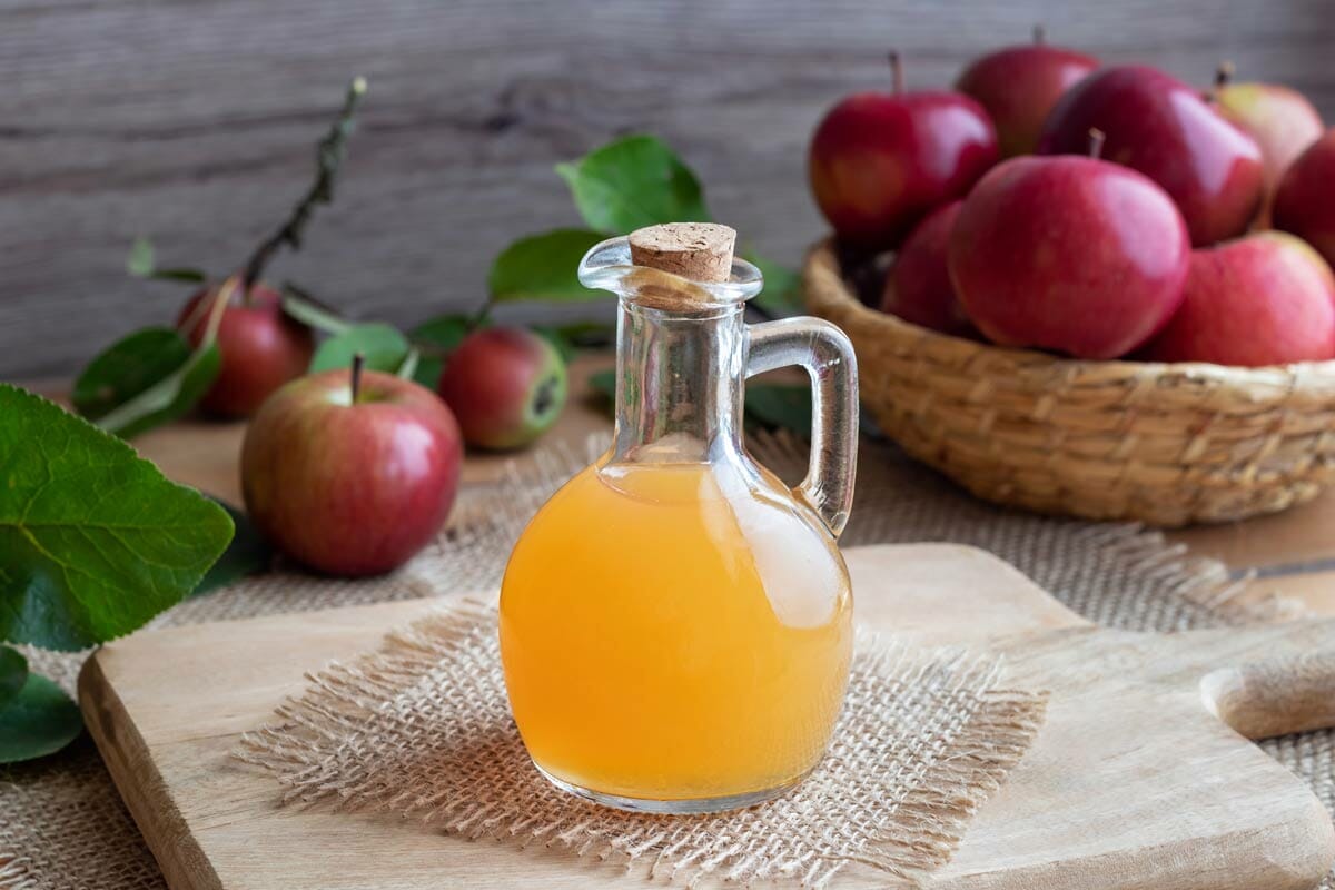 Say Goodbye to Fleas with These 15 Powerful Natural Repellents 15 Say Goodbye to Fleas with These 15 Powerful Natural Repellents - making apple cider vinegar dp 212598218 DS