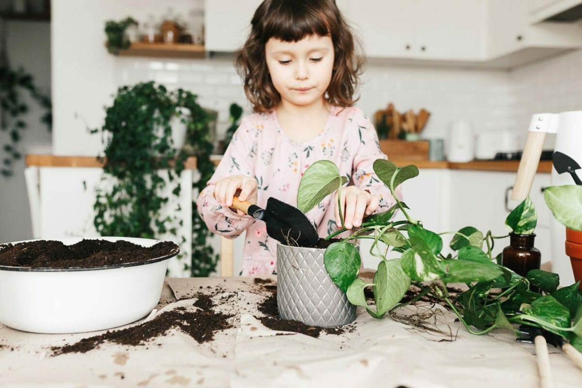 Glacier Pothos vs NJoy: Tell Them Apart + Pro Care Tips 9 girl mixing different pothos varieties in one pot