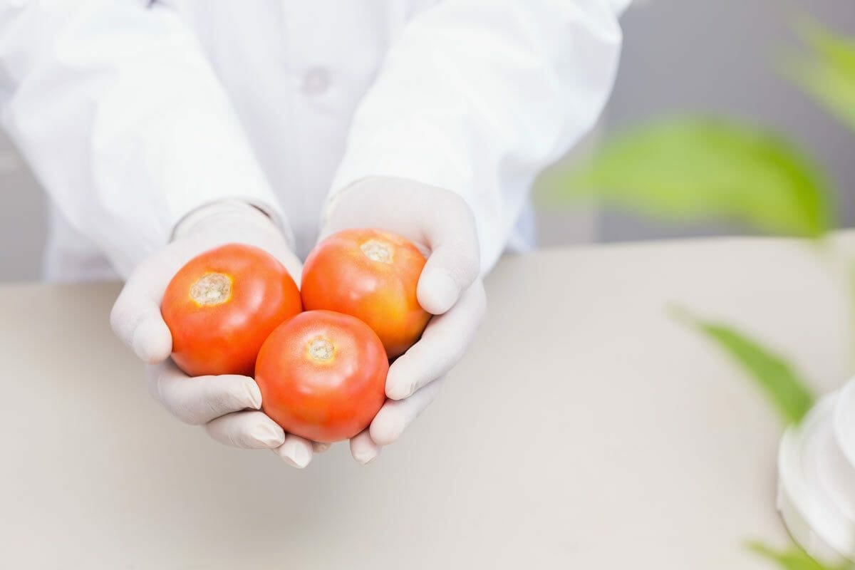 10 Delicious Fruits and Vegetables That Are Surprisingly Man-Made 11 scientist holding a tomato