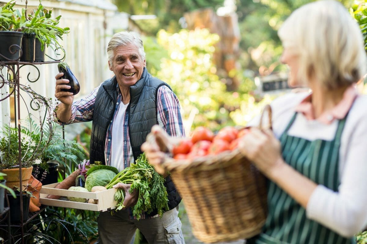 10 Delicious Fruits and Vegetables That Are Surprisingly Man-Made 12 man holding an eggplant