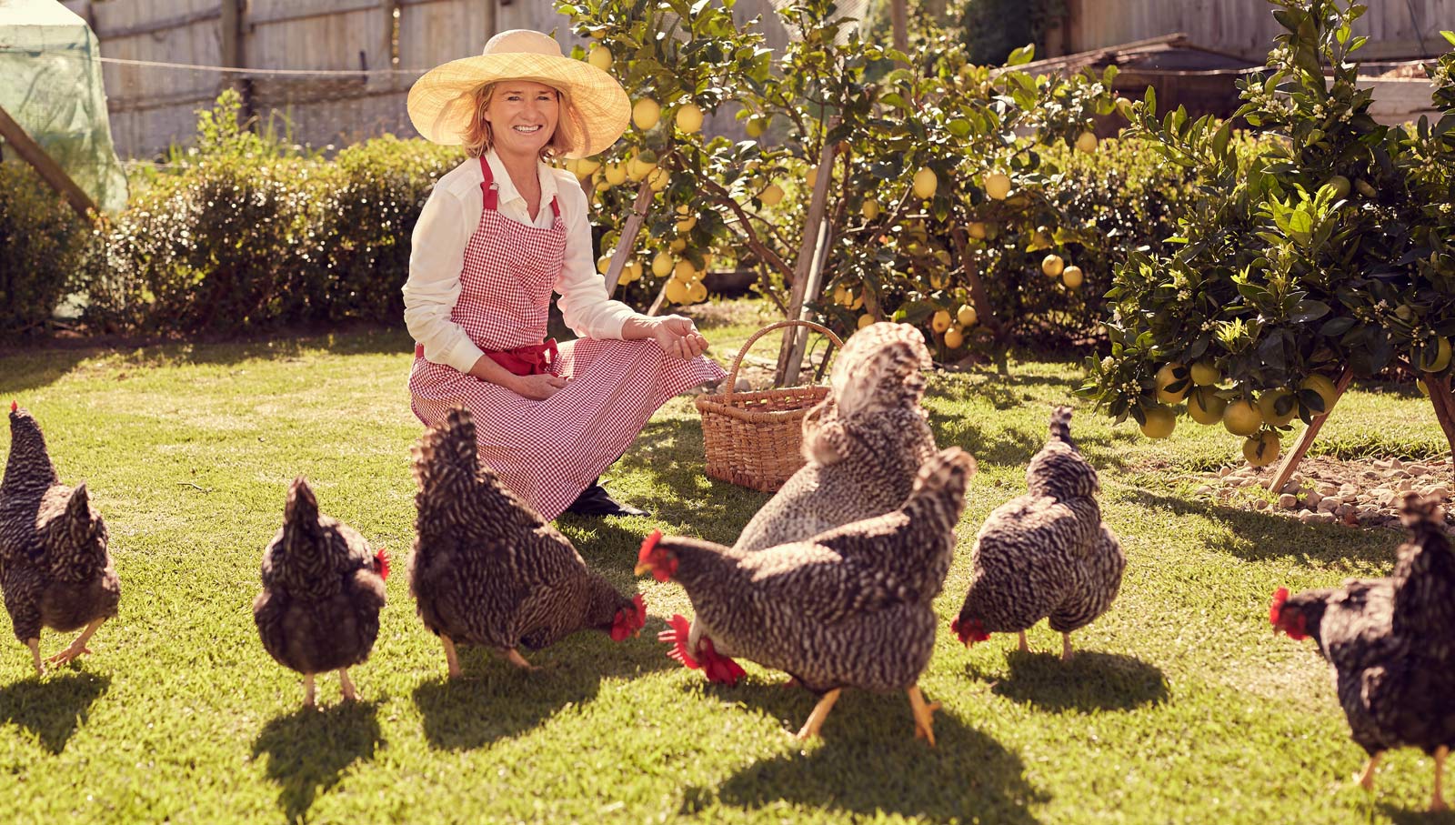 Welcome HipChickFarms.com Visitors! 1 woman with backyard chickens