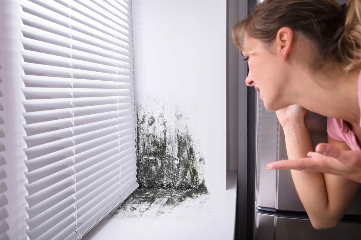 7 Home Improvement Purchases That Are Life-changing 2 woman looking at moldy window