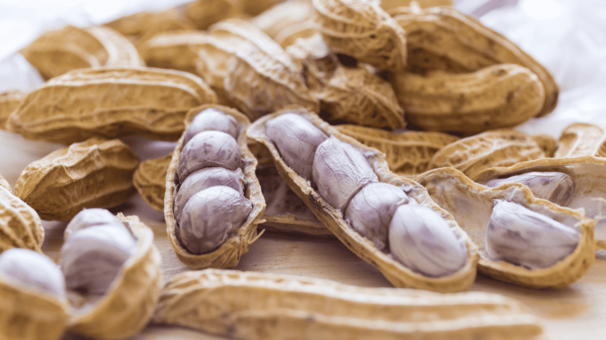10 Common Kitchen Scraps You Can Safely Feed to Wild Birds - boiled peanuts dp102413052