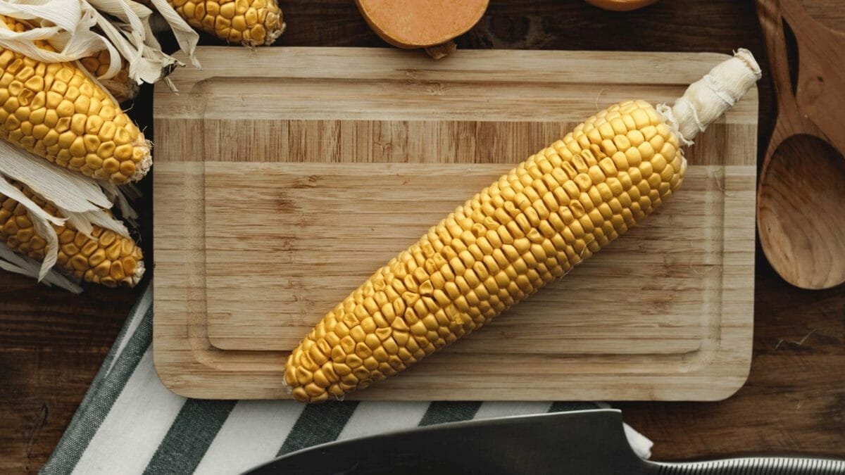 Is Corn Man-Made: Uncovering the Human Influence on Nature's Bounty 3 corn on the cob