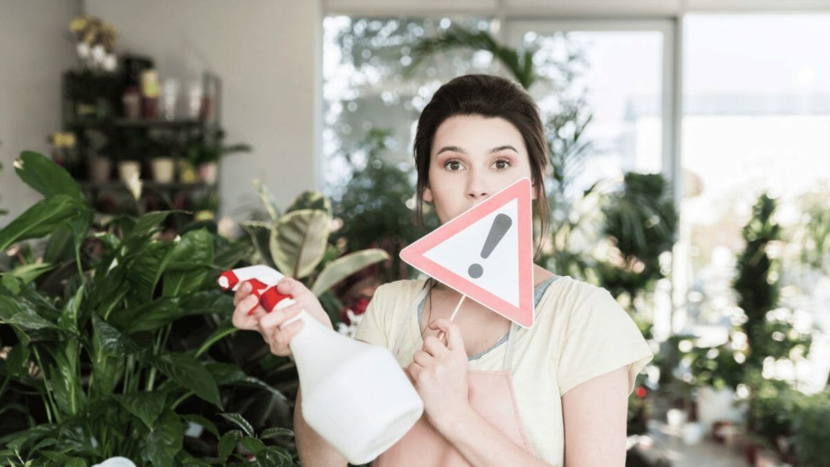 pesticide for houseplants
