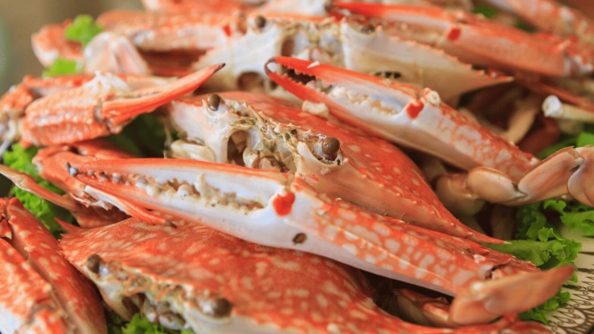 The Food Each U.S. State is Known For 21 steamed crabs