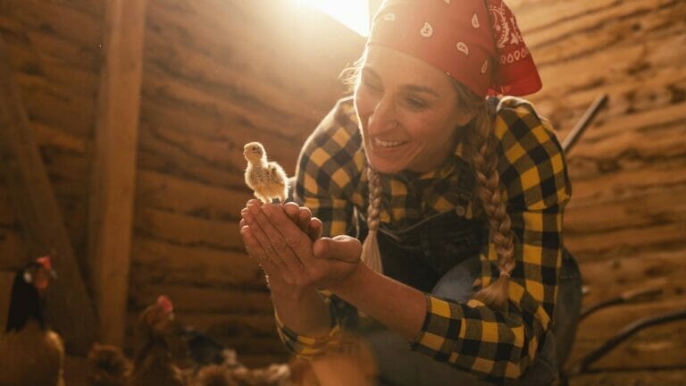 Warm Water Trick For Hatching Eggs: Step-By-Step Guide 6 hatching chicken eggs with the warm water trick